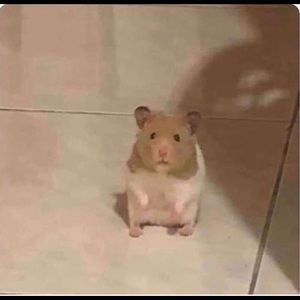 Meet your Posher, Caleb